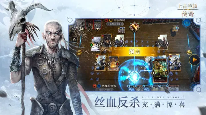 上古卷轴：传奇游戏截图4